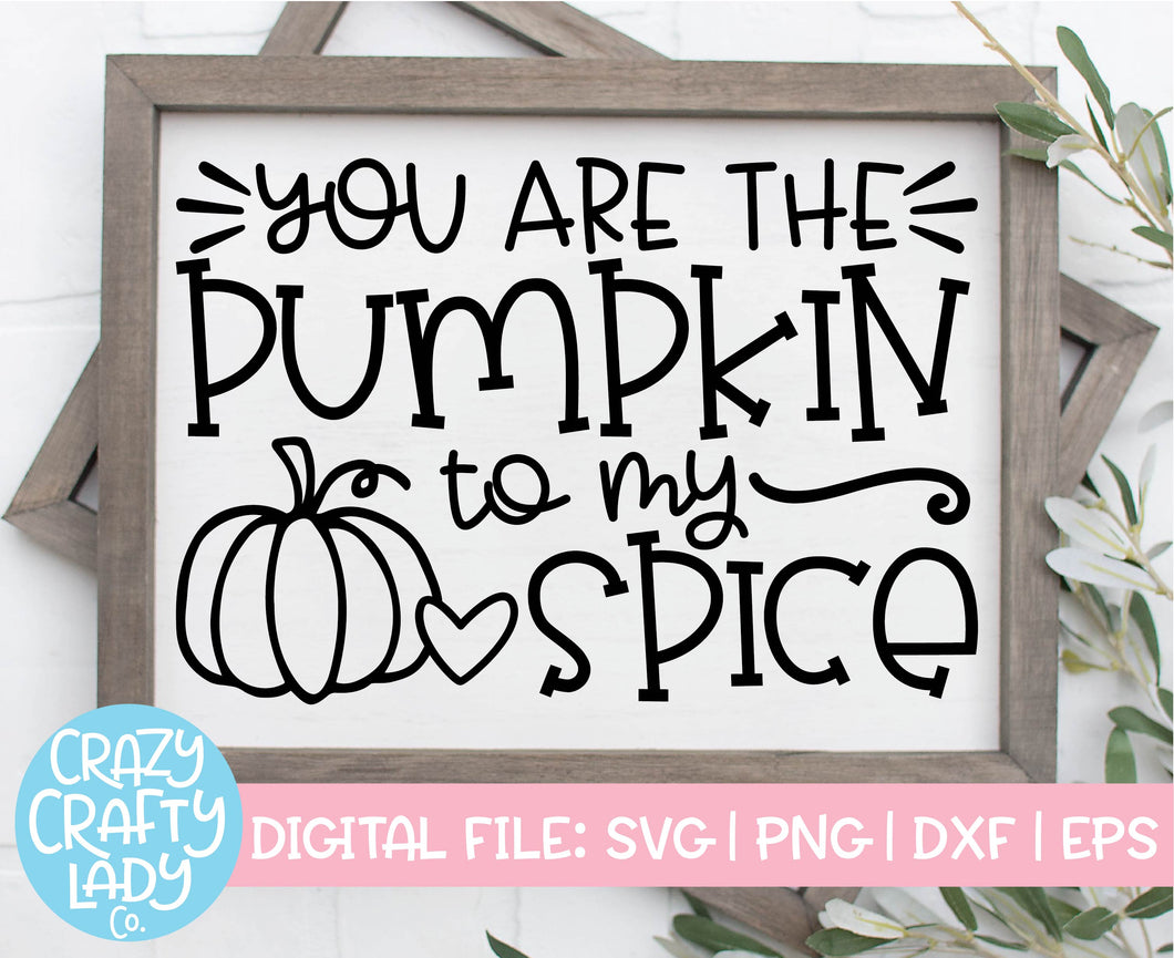 You Are the Pumpkin to My Spice SVG Cut File